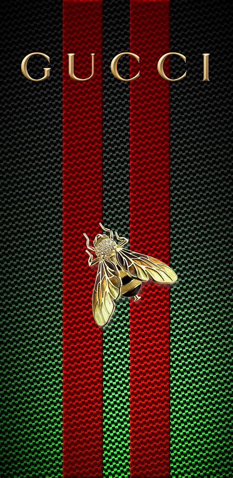 gucci hd persone|gucci lock screen wallpaper.